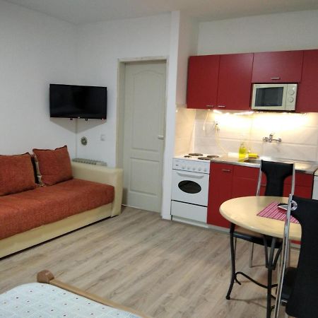 Apartman 4 - Studio Janja Soko Banja Eksteriør bilde
