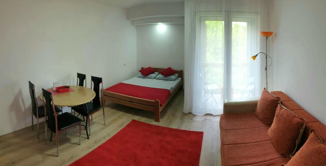 Apartman 4 - Studio Janja Soko Banja Eksteriør bilde